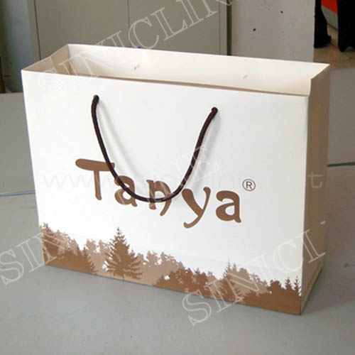 Shopping bag(SB003)