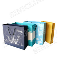 Shopping bag(SB008)