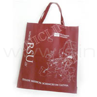 Shopping bag(SB009)