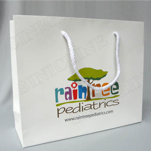 Shopping bags(SB060)