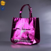 Foil laminated non woven shopping bag BBG-DB-04b